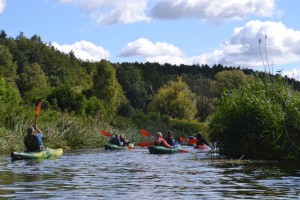 wDSC_1392.jpg