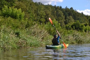 wDSC_1393.jpg