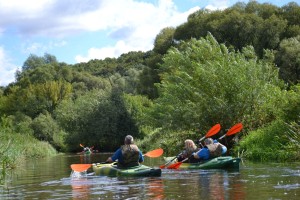 wDSC_1458.jpg