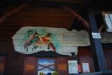 wDSC_0455.jpg