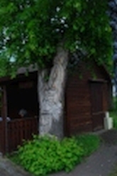 w_LesniowSanktuarium_MB__PatronkiRodzin_DSC_0071.jpg