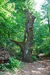 w_ZłotyPotok_NaGROBLI_DSC_0210.jpg