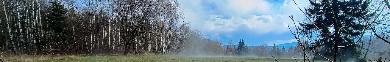 widok