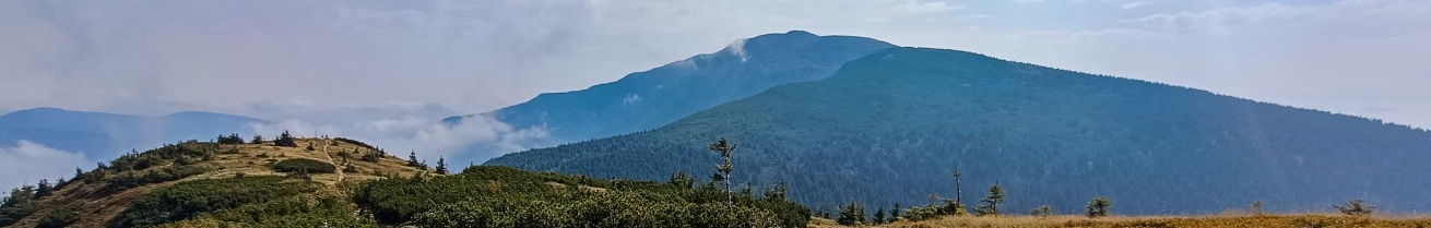 widok