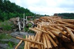 w_DSC_0465.jpg