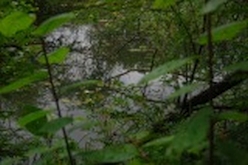 w_DSC_0483.jpg