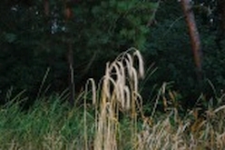 w_DSC_0486.jpg