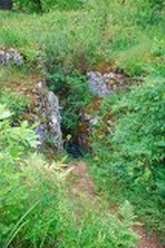 w_DSC_0527.jpg