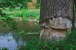 w_DSC_0604.jpg