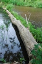 w_DSC_0605.jpg