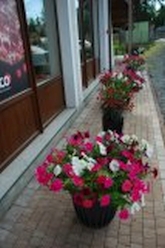 w_DSC_0654.jpg